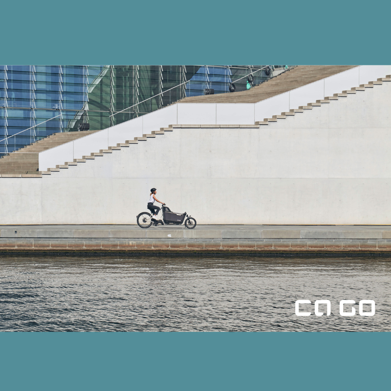 CaGo Life Family - Ultra safe E-Bike for familes - Land of Little